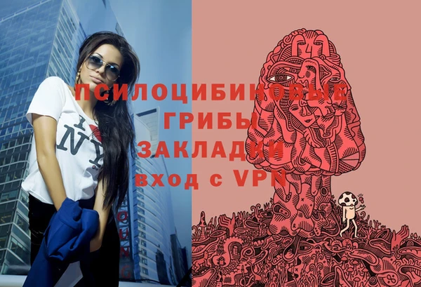 дурь Аркадак
