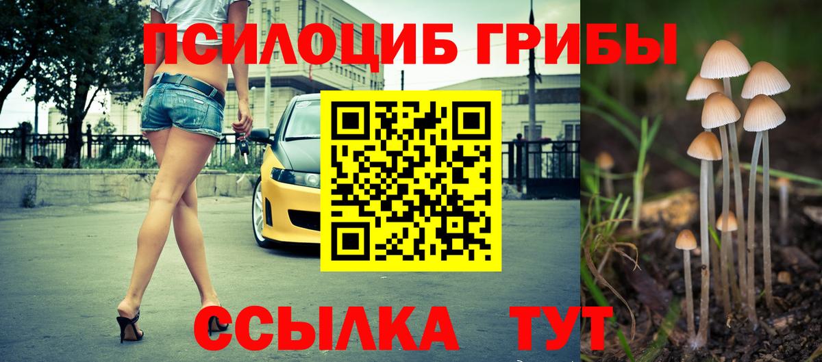 Псилоцибиновые грибы прущие грибы Кубинка