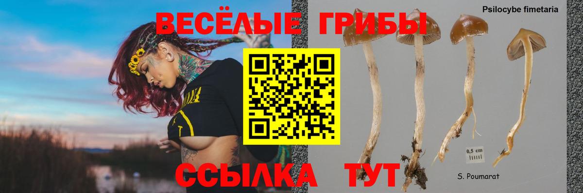 Кубинка  Галлюциногенные грибы Magic Shrooms  Галлюциногенные грибы Psilocybe  Вход с VPN 